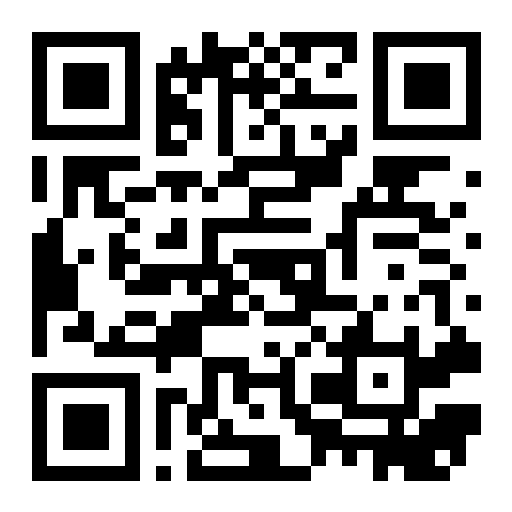QR preview