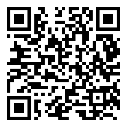 Previsualizacion del QR