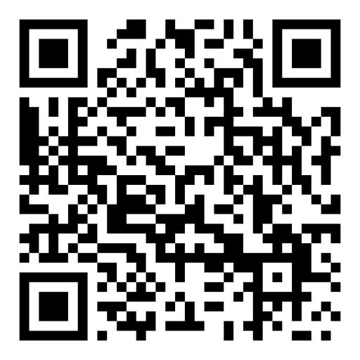 Previsualizacion del QR