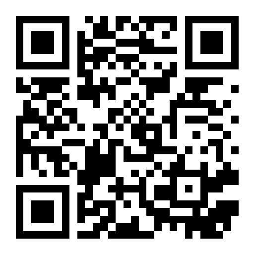 QR preview