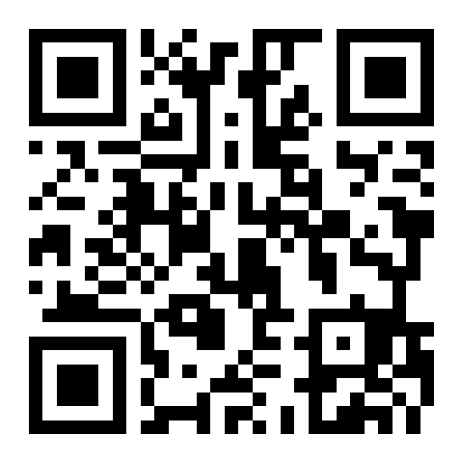 QR preview