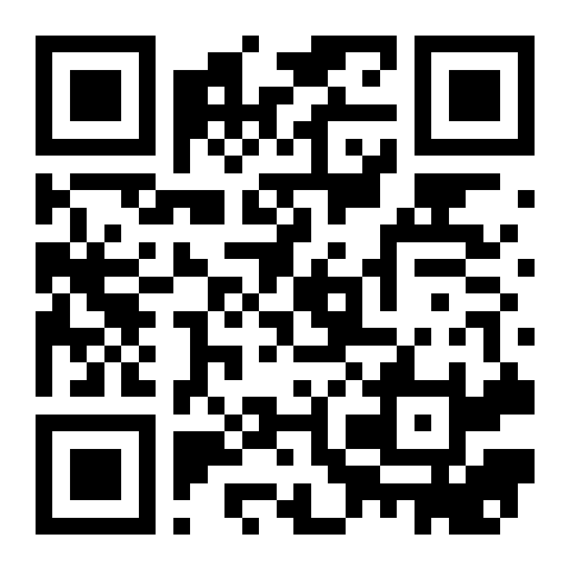 QR preview