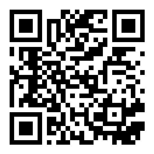 QR preview