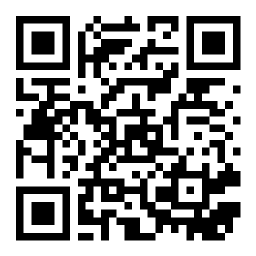 QR preview
