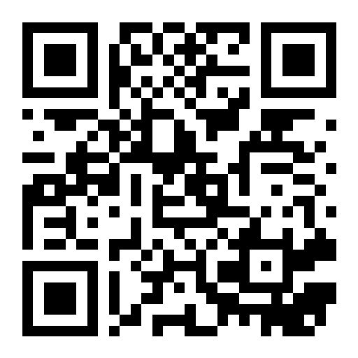 QR preview