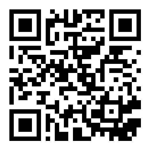 QR preview
