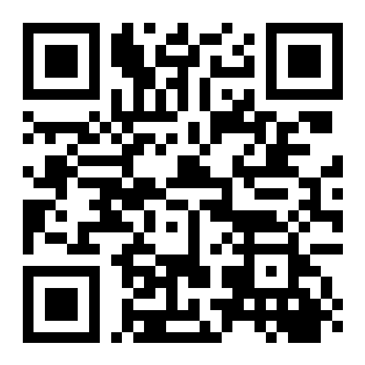 QR preview